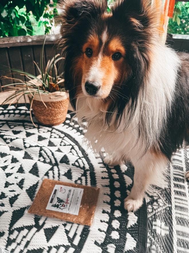 Indi